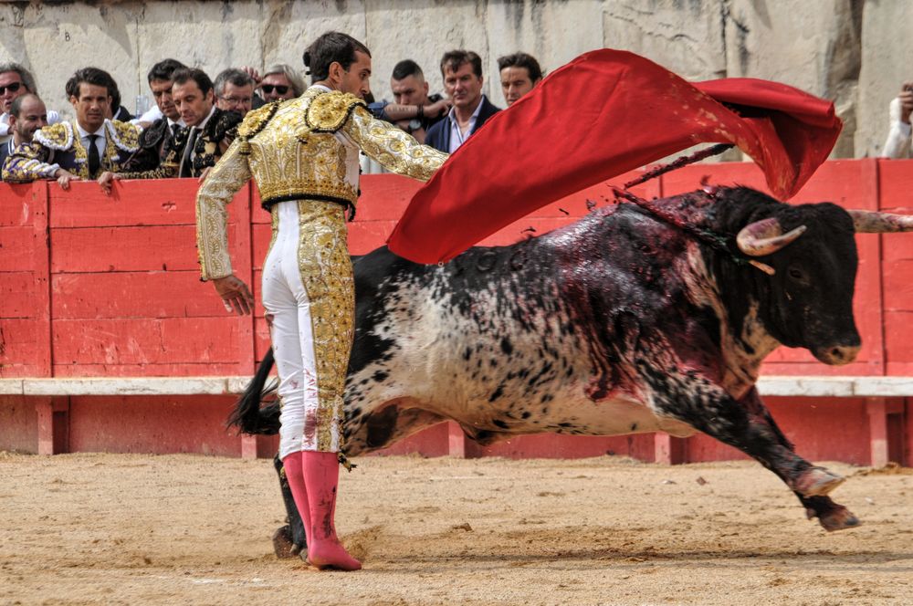 2016cordimmvendnimes (53)