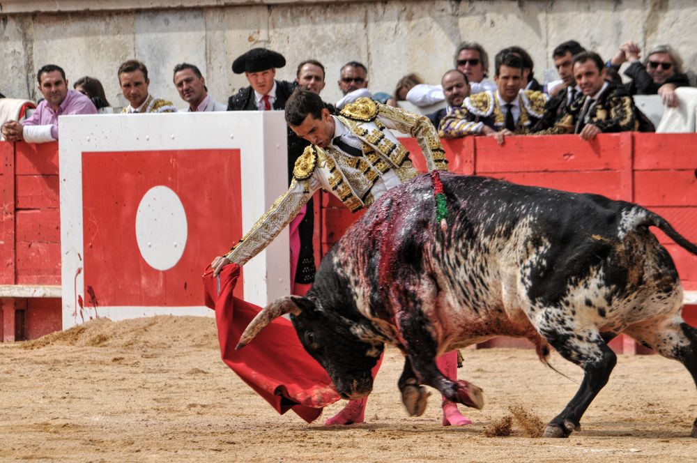 2016cordimmvendnimes (58)