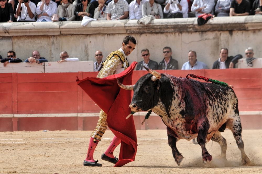 2016cordimmvendnimes (66)