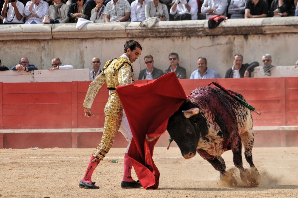 2016cordimmvendnimes (67)
