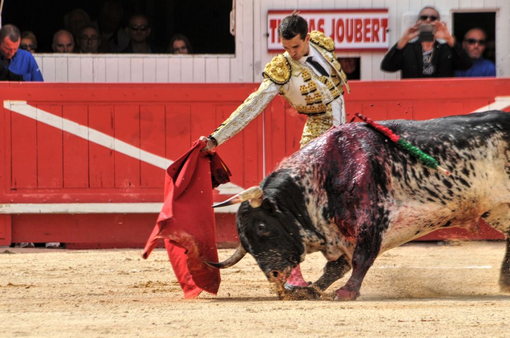 2016cordimmvendnimes (72)