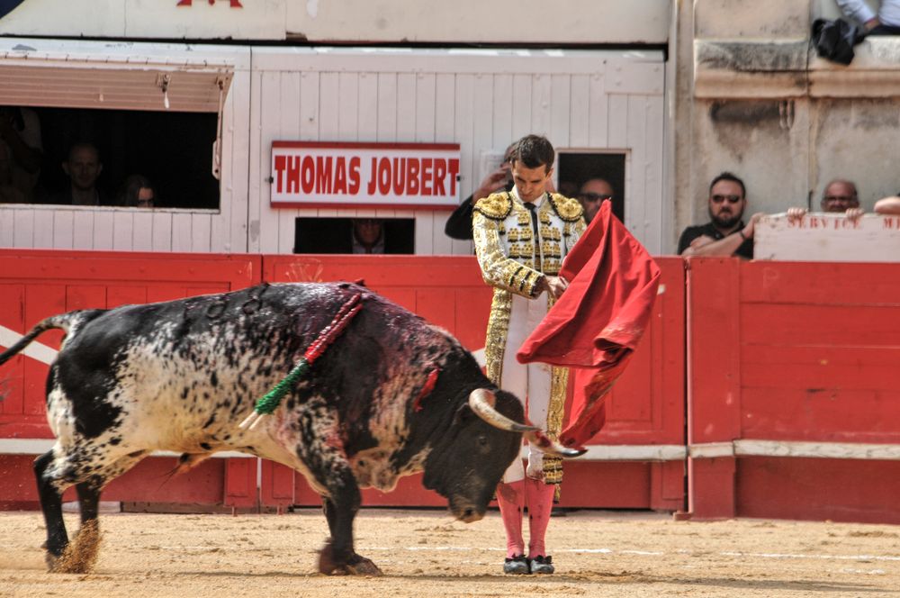2016cordimmvendnimes (74)