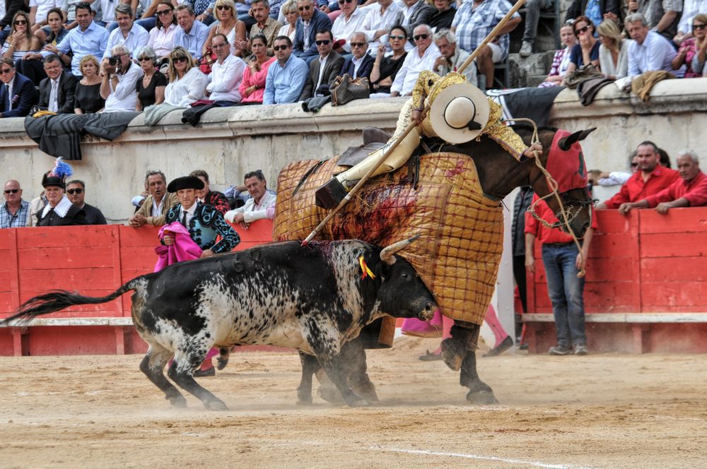 2016cordimmvendnimes (78)