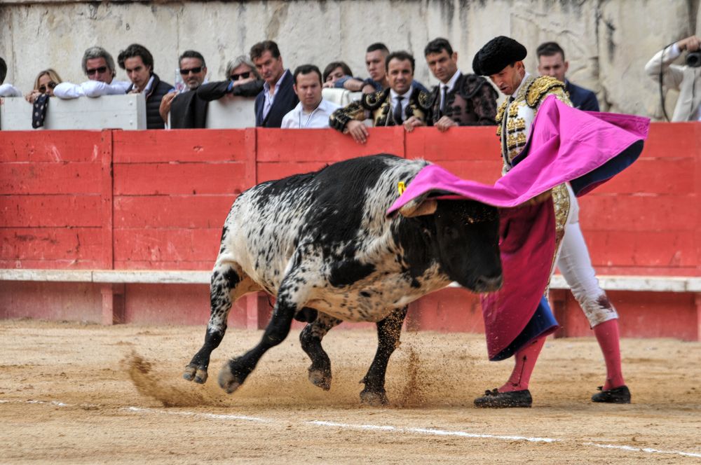 2016cordimmvendnimes (85)