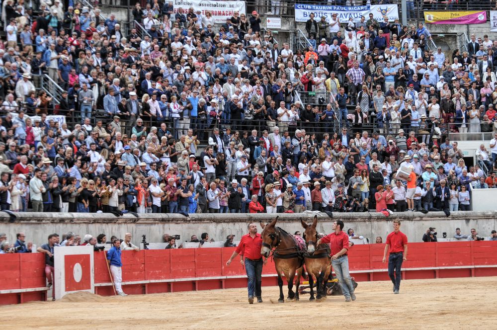 2016cordimmvendnimes (95)