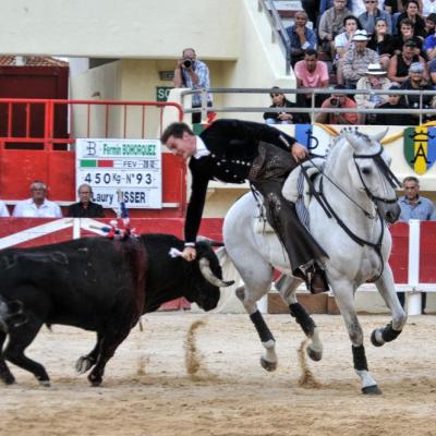 Corrida de Rejon du 14 Juillet 2016 aux Saintes Maries de la Mer