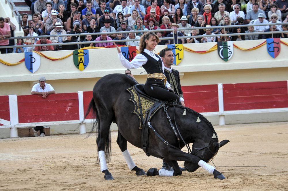 2016corejonstesmaries (85)