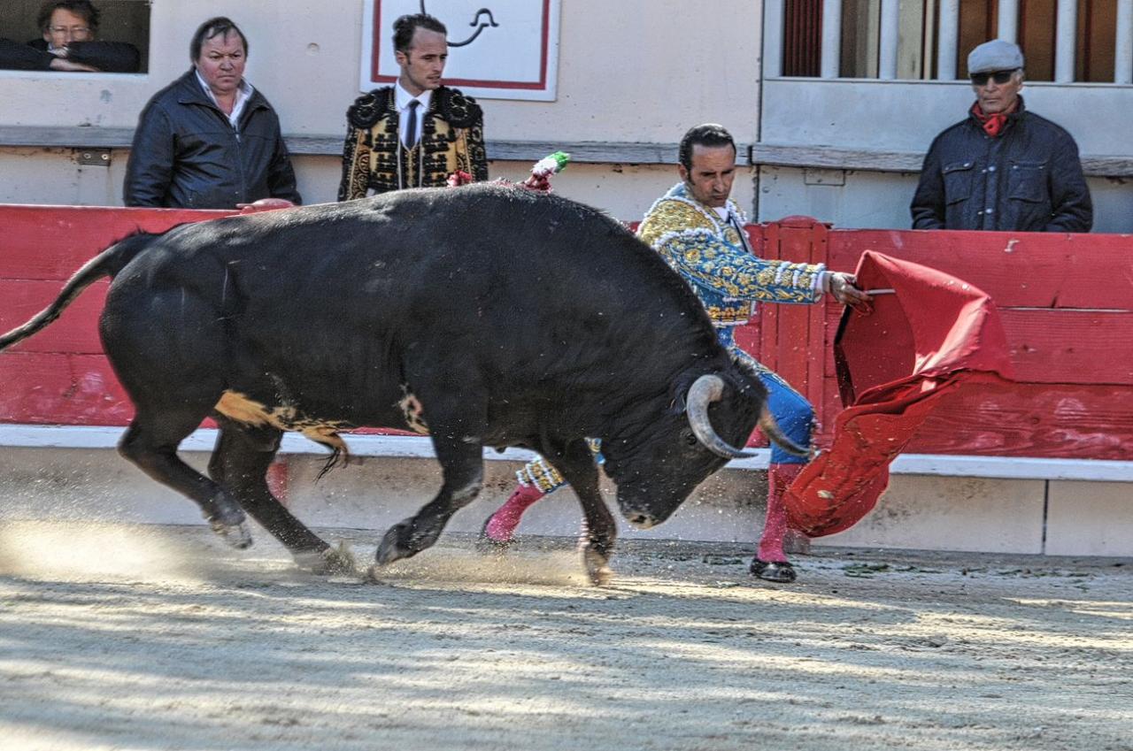2016corridadimlacrau (151)