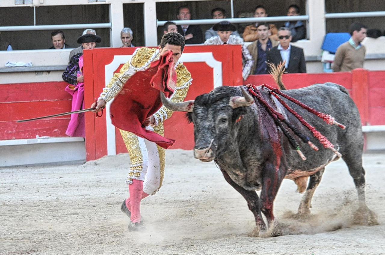 2016corridalacrau2304 (3)