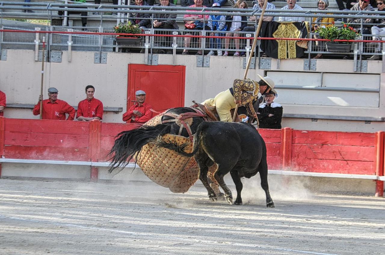 2016corridalacrau2304 (44)