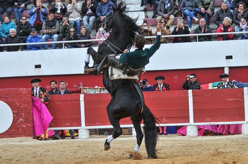 2016corridarejonpalavas (101)_Enhancer