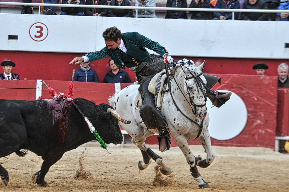2016corridarejonpalavas (103)_Enhancer