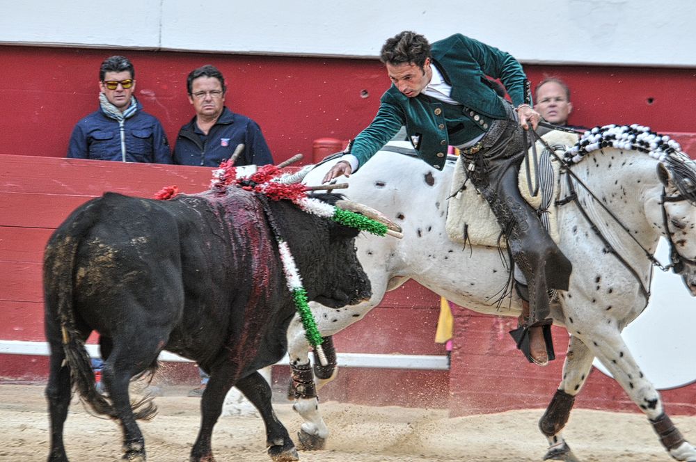 2016corridarejonpalavas (105)_Enhancer