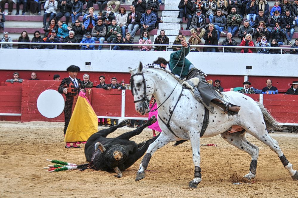 2016corridarejonpalavas (113)_Enhancer