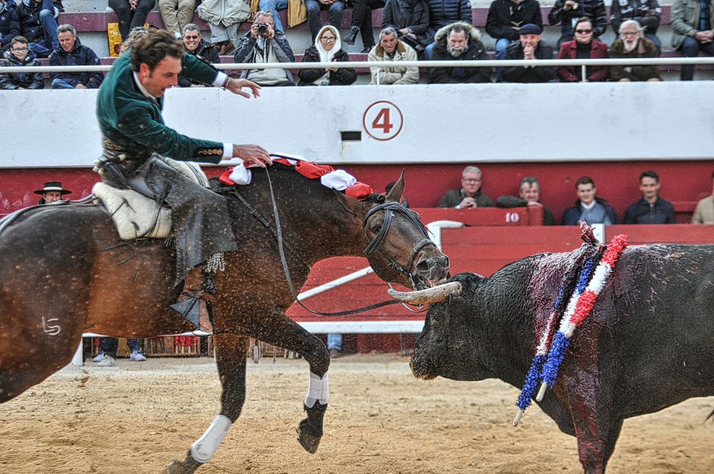2016corridarejonpalavas (144)_Enhancer