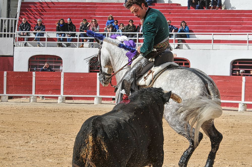 2016corridarejonpalavas (27)_Enhancer