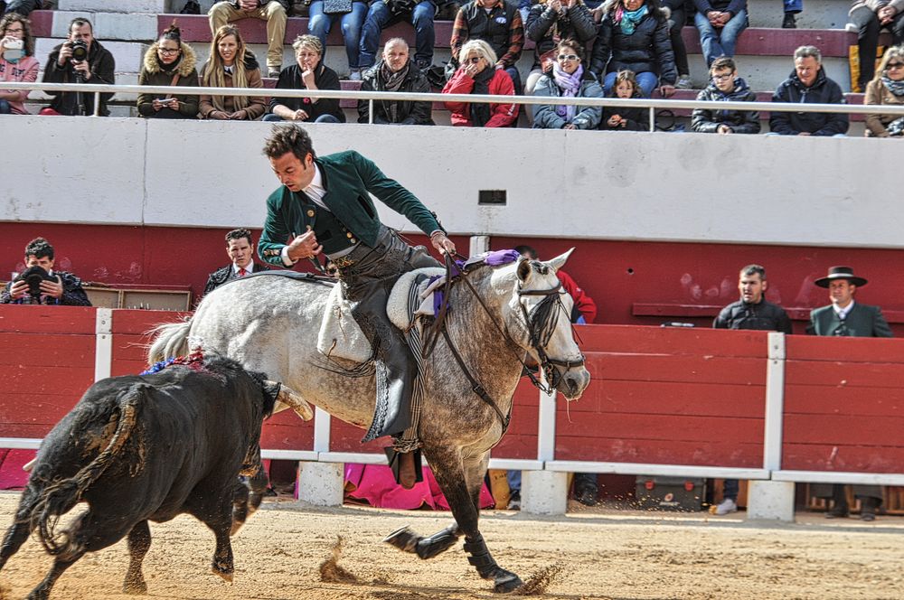 2016corridarejonpalavas (35)_Enhancer