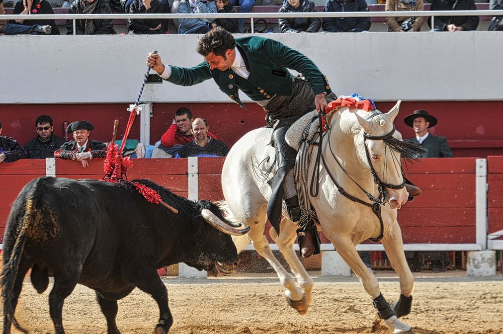 2016corridarejonpalavas (52)_Enhancer