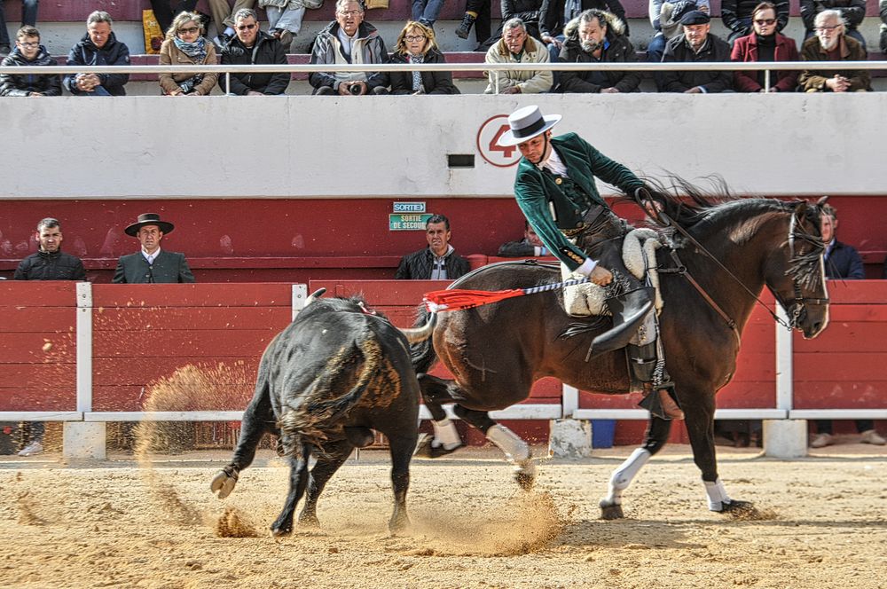 2016corridarejonpalavas (56)_Enhancer