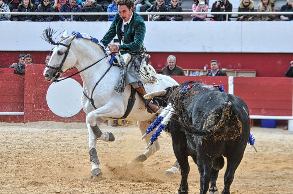 2016corridarejonpalavas (65)_Enhancer