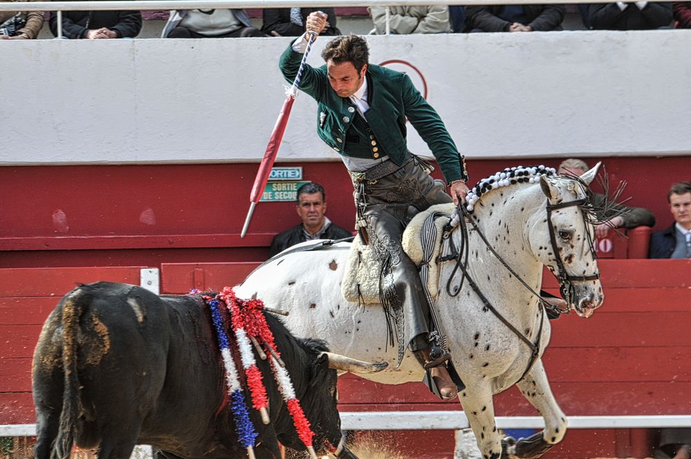 2016corridarejonpalavas (79)_Enhancer