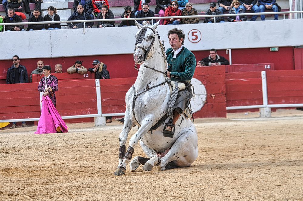 2016corridarejonpalavas (81)_Enhancer