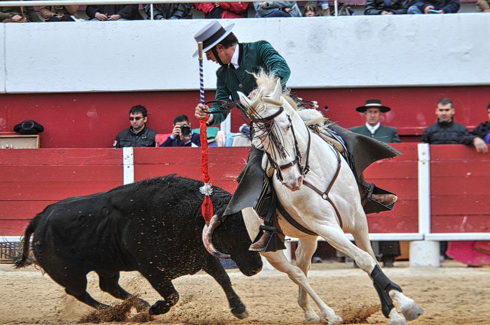 2016corridarejonpalavas (90)_Enhancer