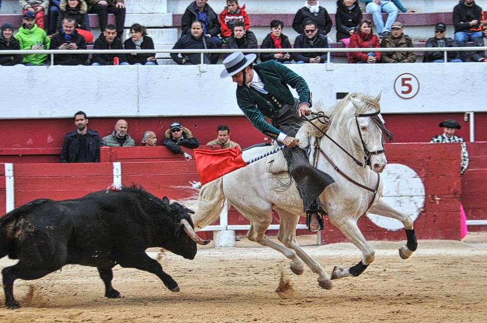 2016corridarejonpalavas (92)_Enhancer