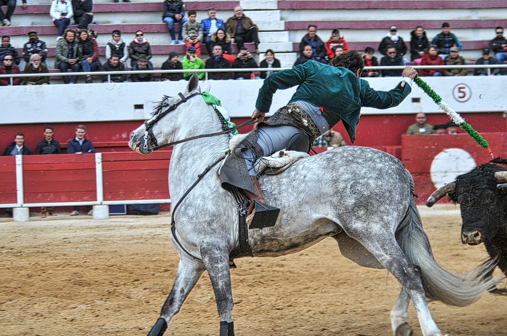 2016corridarejonpalavas (96)_Enhancer