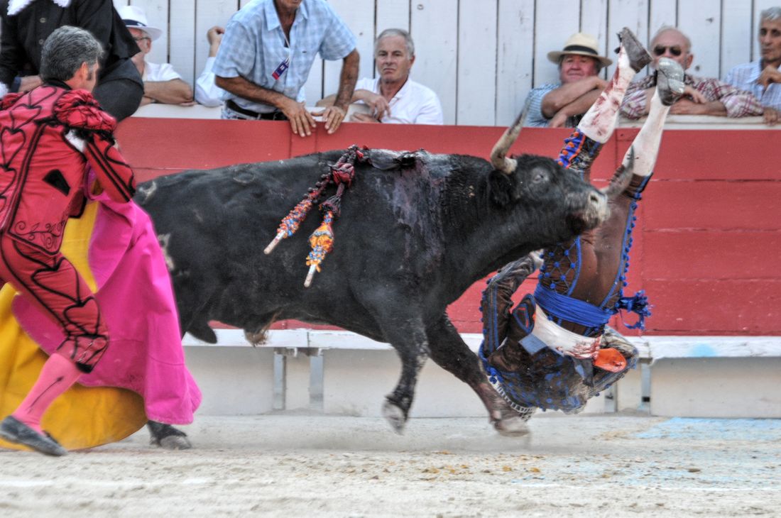 2016corridasamediferiariz (142)
