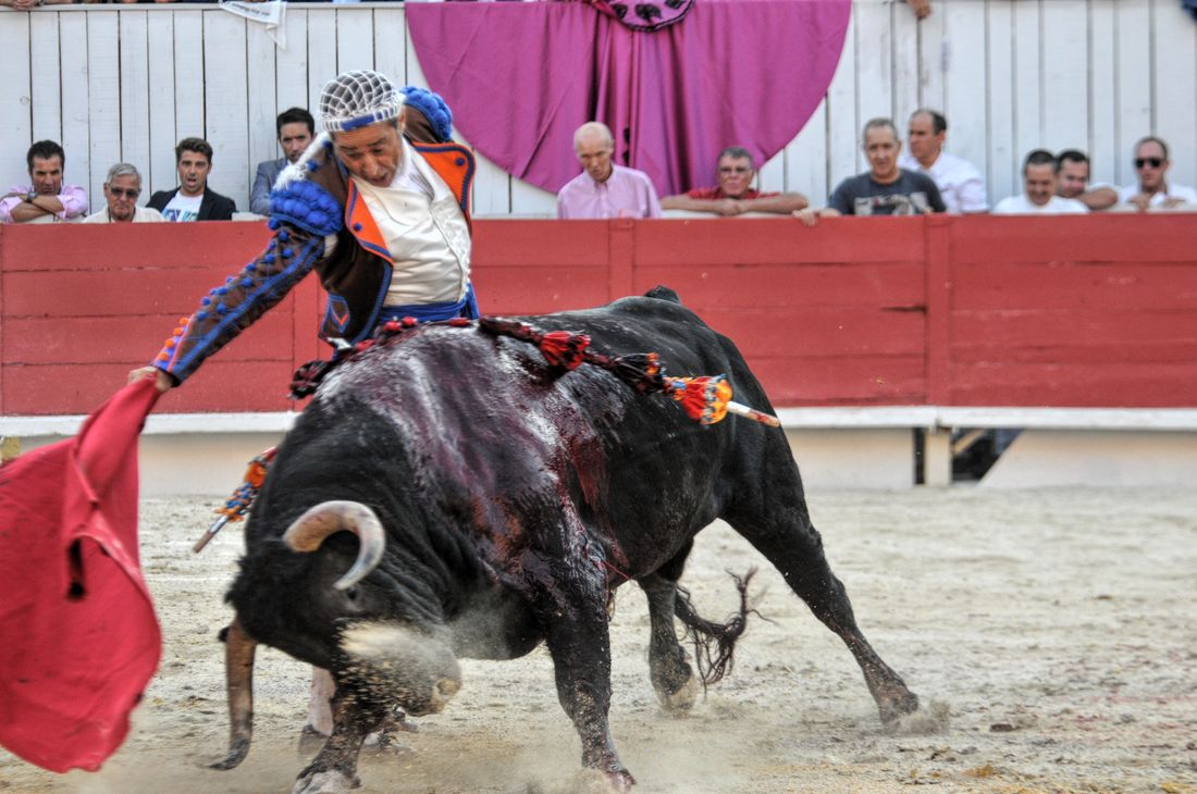 2016corridasamediferiariz (171)