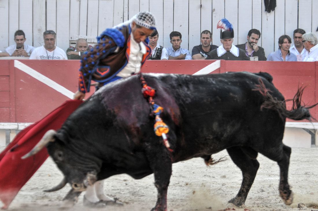 2016corridasamediferiariz (182)