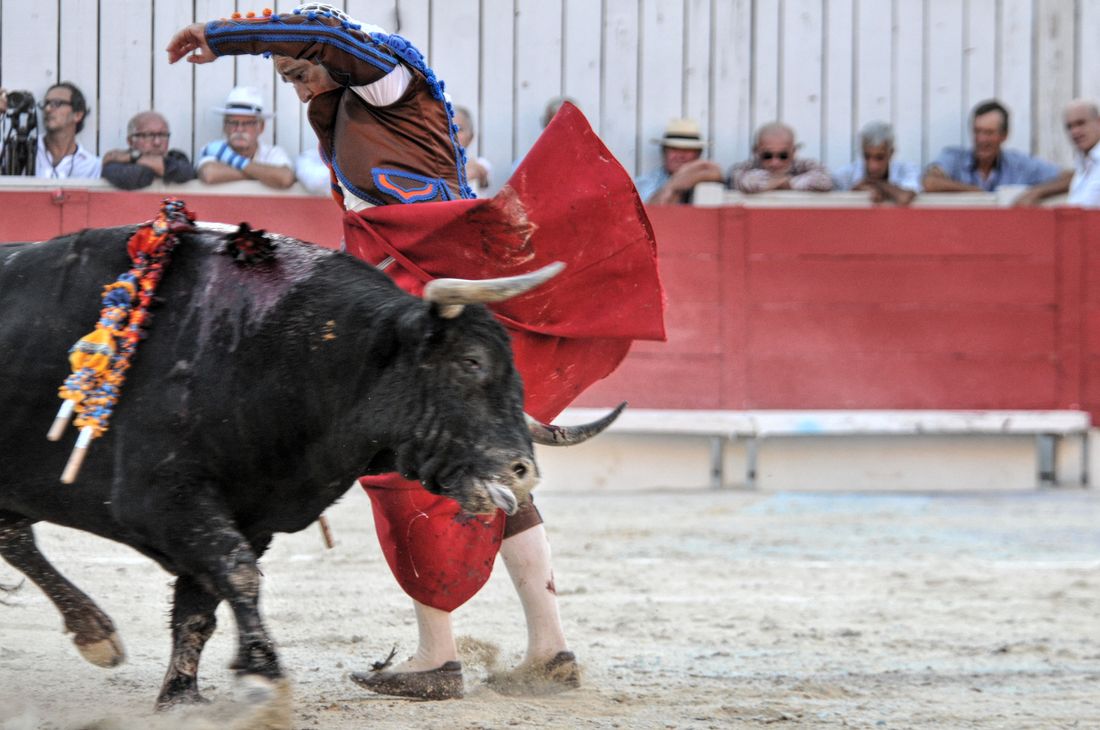 2016corridasamediferiariz (183)
