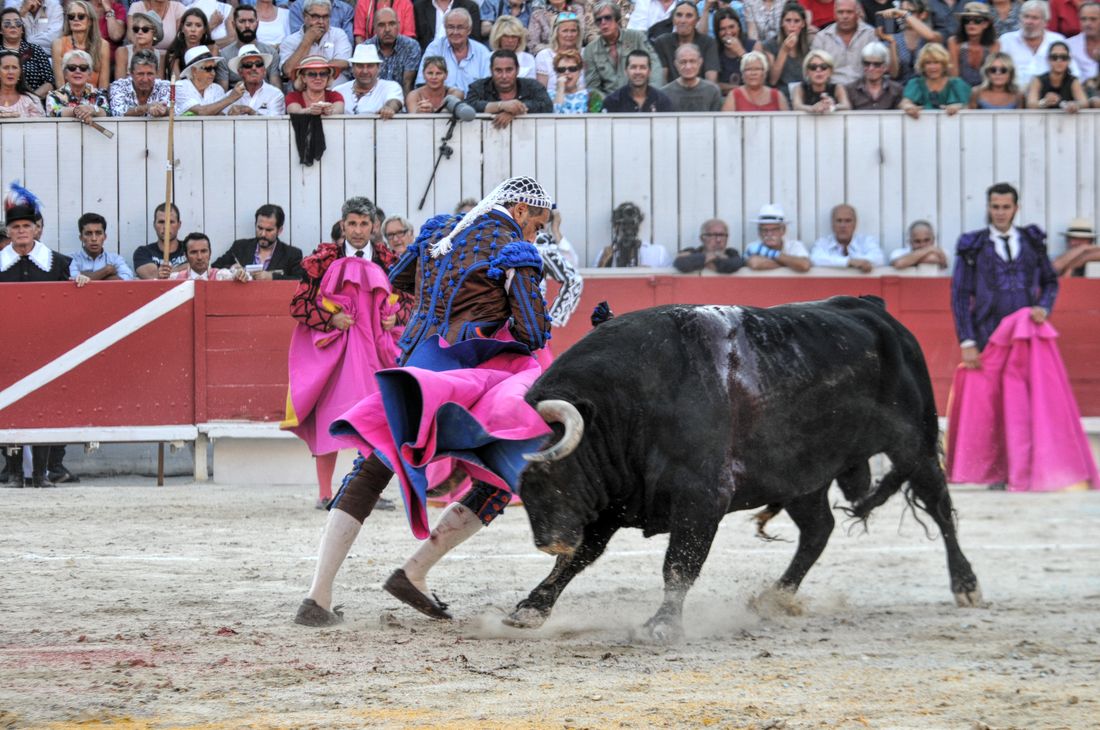 2016corridasamediferiariz (197)