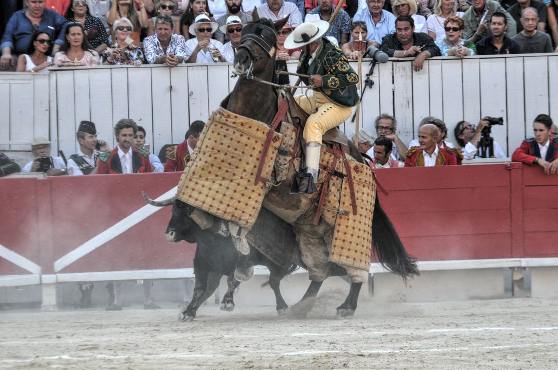2016corridasamediferiariz (212)