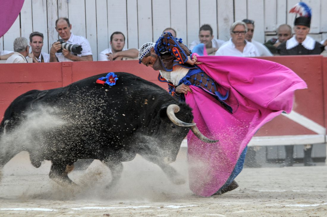 2016corridasamediferiariz (216)