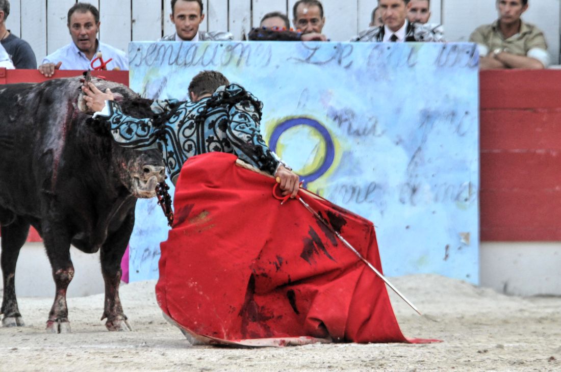 2016corridasamediferiariz (23)