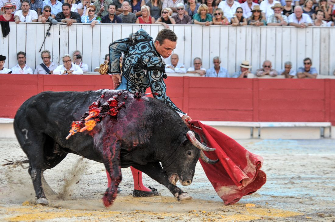 2016corridasamediferiariz (258)