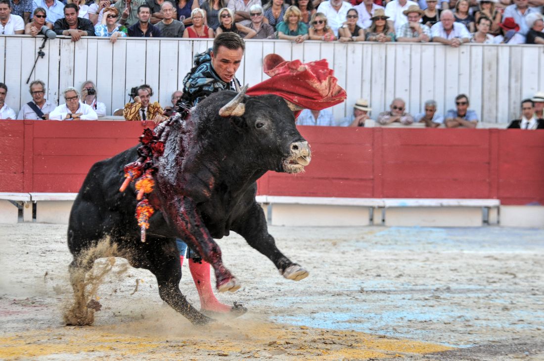 2016corridasamediferiariz (259)