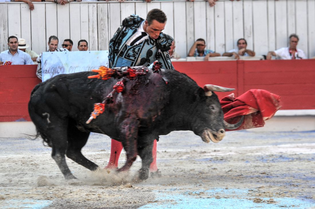 2016corridasamediferiariz (270)
