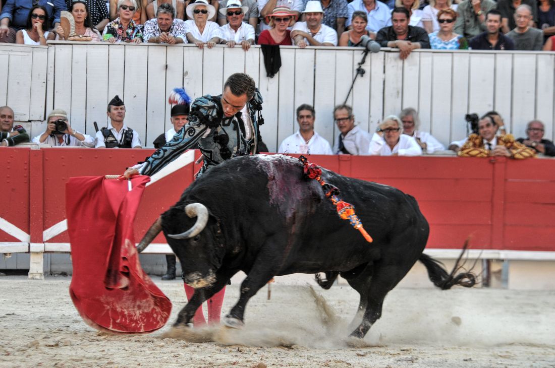 2016corridasamediferiariz (288)