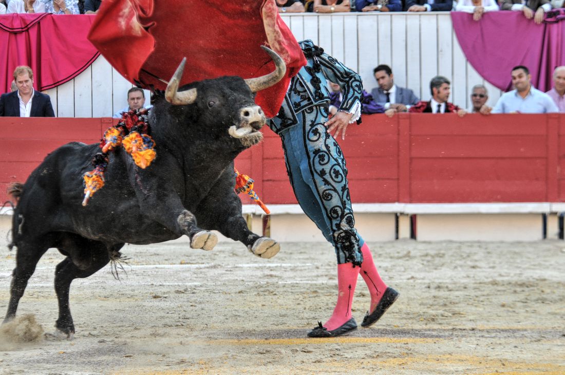 2016corridasamediferiariz (297)