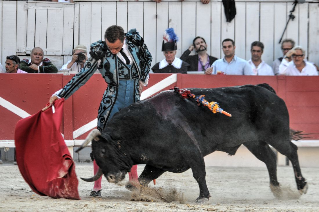 2016corridasamediferiariz (300)