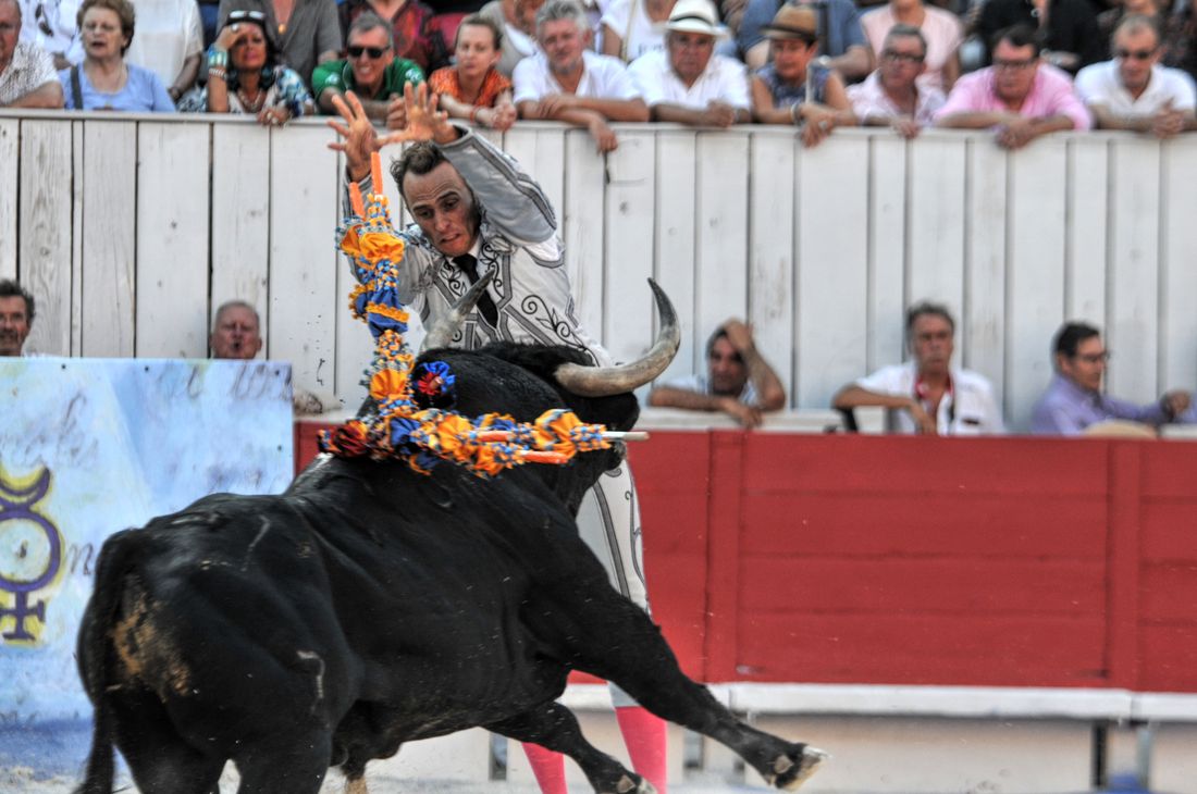 2016corridasamediferiariz (303)