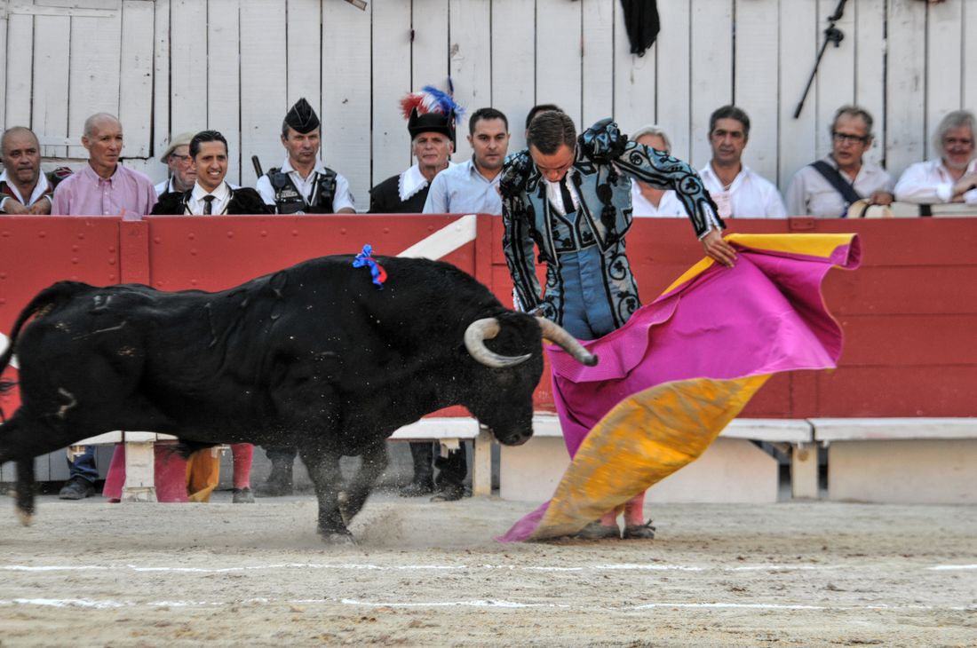 2016corridasamediferiariz (311)