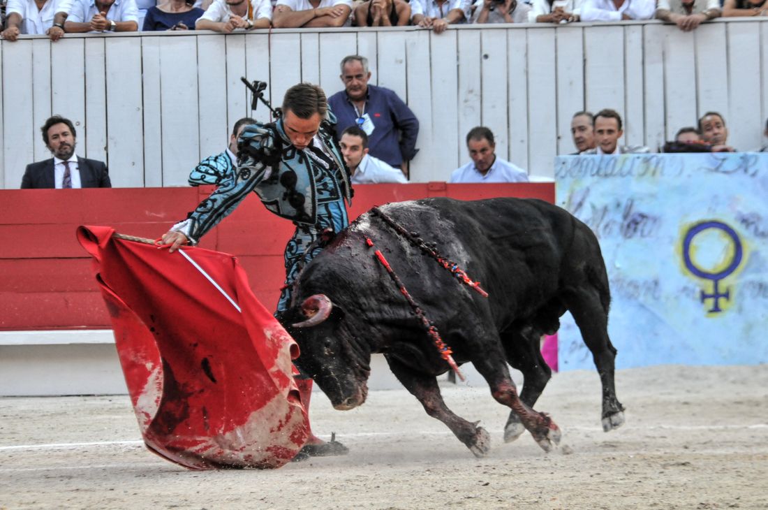 2016corridasamediferiariz (32)