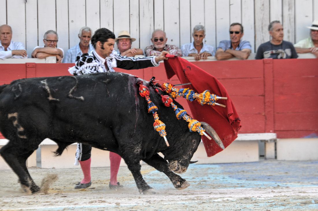 2016corridasamediferiariz (328)