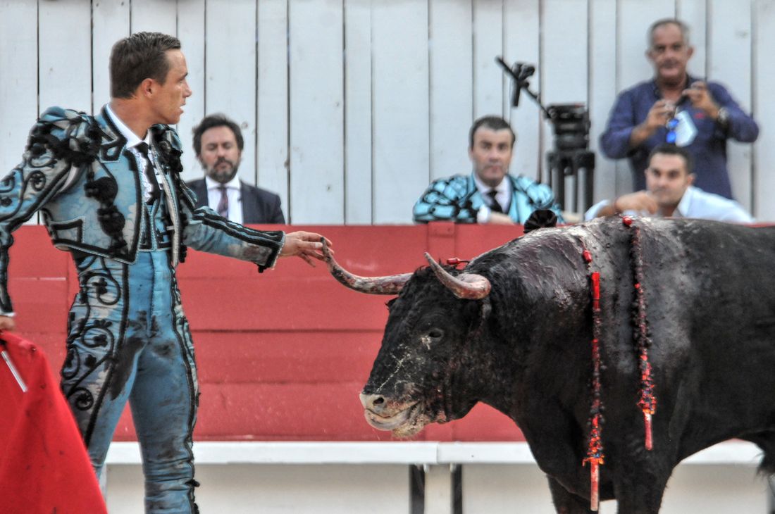 2016corridasamediferiariz (34)