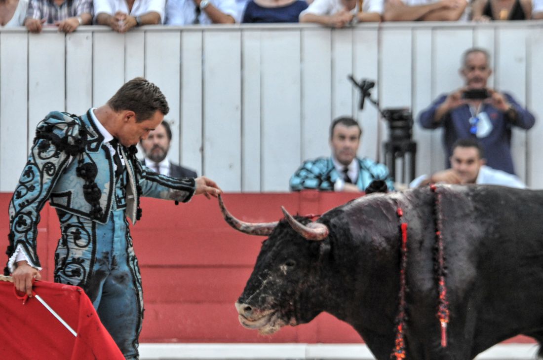 2016corridasamediferiariz (36)