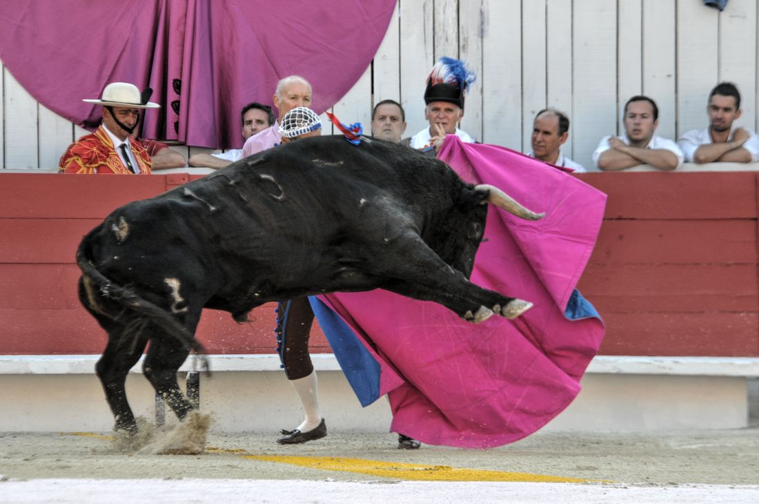 2016corridasamediferiariz (408)